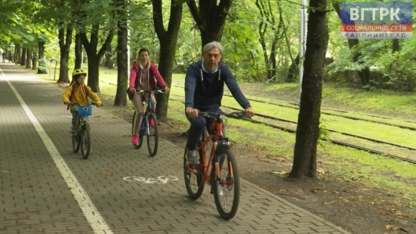 Велосезон в Калининграде открыт: Кленовая аллея станет зоной активного отдыха